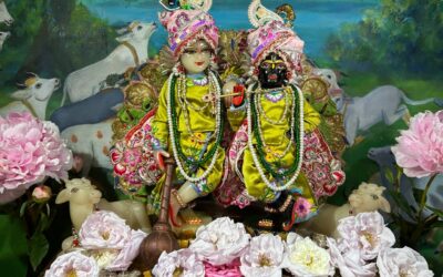 Zu Hause bei Krishna-Balaram – Eine Abhishek mit besonderer Tiefe