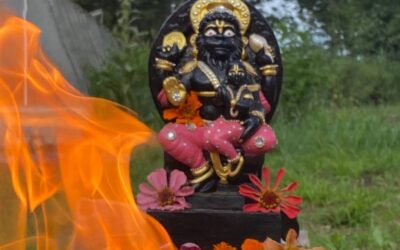 Bhumi Yagna – Segenszeremonie im Garten Sri Nṛsiṁhadevas